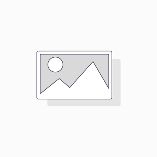 Chicken Croquettes